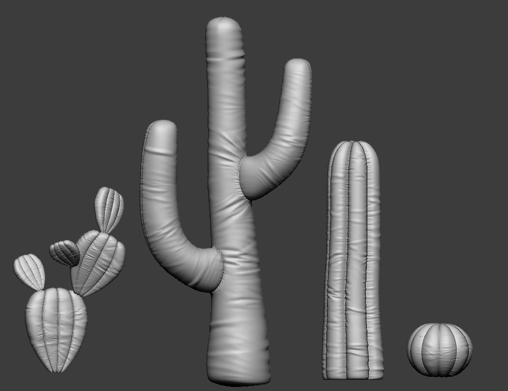 cacti_details
